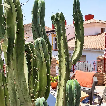 La Casita Cactus Velez Malaga